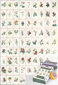 Vintage Çiçekler Temalı 72 Adet Duvar Poster - Kolaj Seti Oda Dekoru