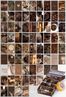 Kahverengi Temalı 72 Adet Duvar Poster - Kolaj Seti Oda Dekoru (GGK-K013)