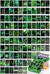 Neon Yeşil Temalı 99 Adet Duvar Poster - Kolaj Seti Oda Dekoru (GGK-K043)