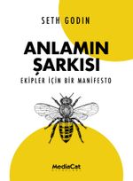 Anlamın Şarkısı