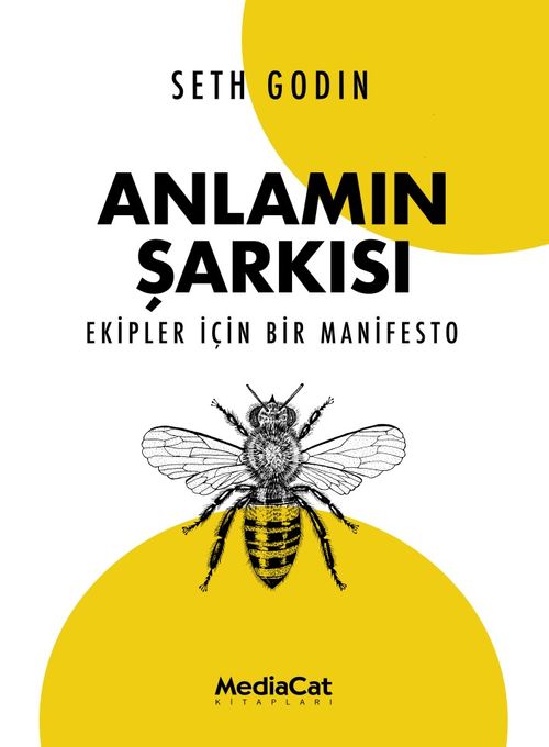 Anlamın Şarkısı
