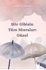 Şiir Gibisin Tüm Mısraları Güzel