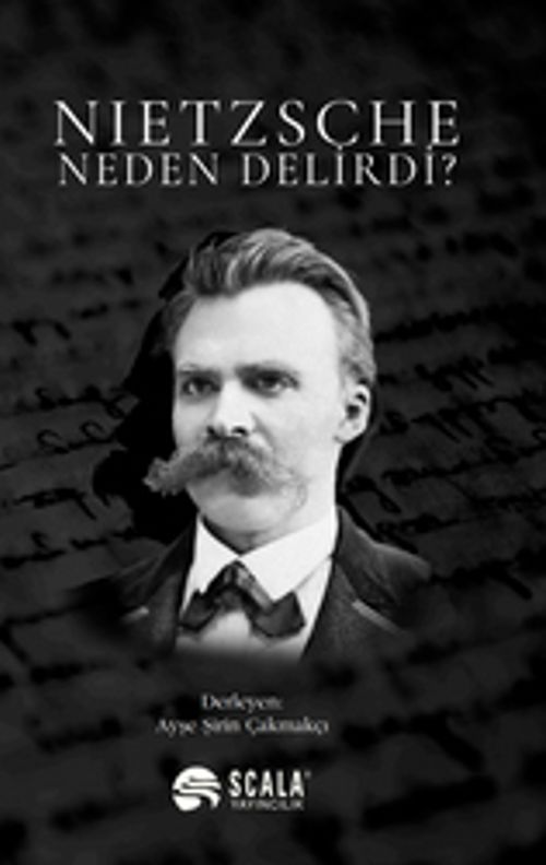 Nietzsche Neden Delirdi? (Ayşe Şirin Çakmakçı) Fiyatı, Yorumları