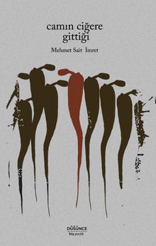 Camın Ciğere Gittiği