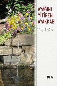 Ayağını Yitiren Ayakkabı 