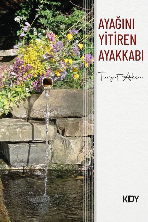 Ayağını Yitiren Ayakkabı 