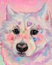 Dilan TANER