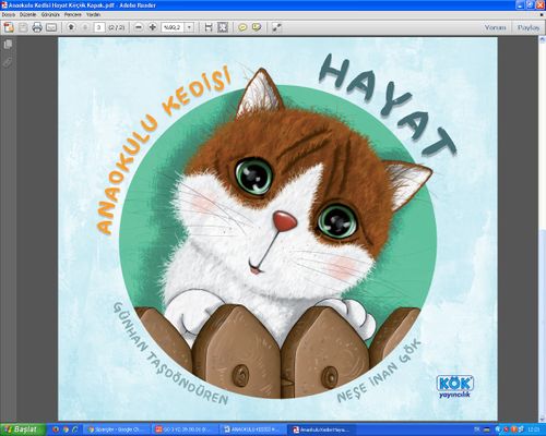 Anaokulu Kedisi Hayat