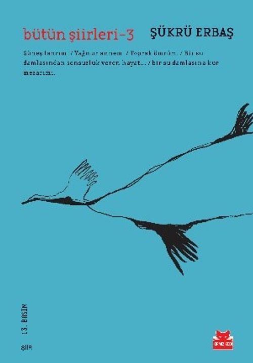 Bütün Şiirleri -3