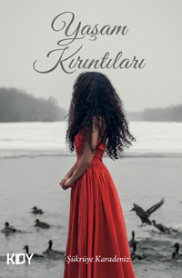 Yaşam Kırıntıları