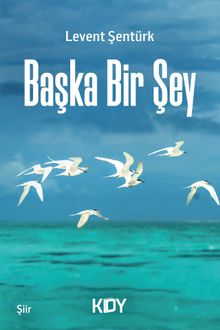 Başka Bir Şey 