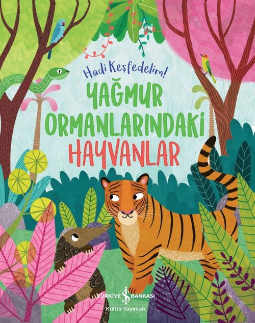 Yağmur Ormanlarındaki Hayvanlar / Hadi Keşfedelim!