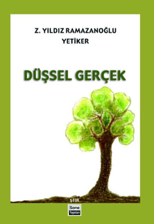 Düşsel Gerçek