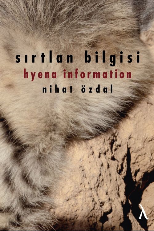 Sırtlan Bilgisi