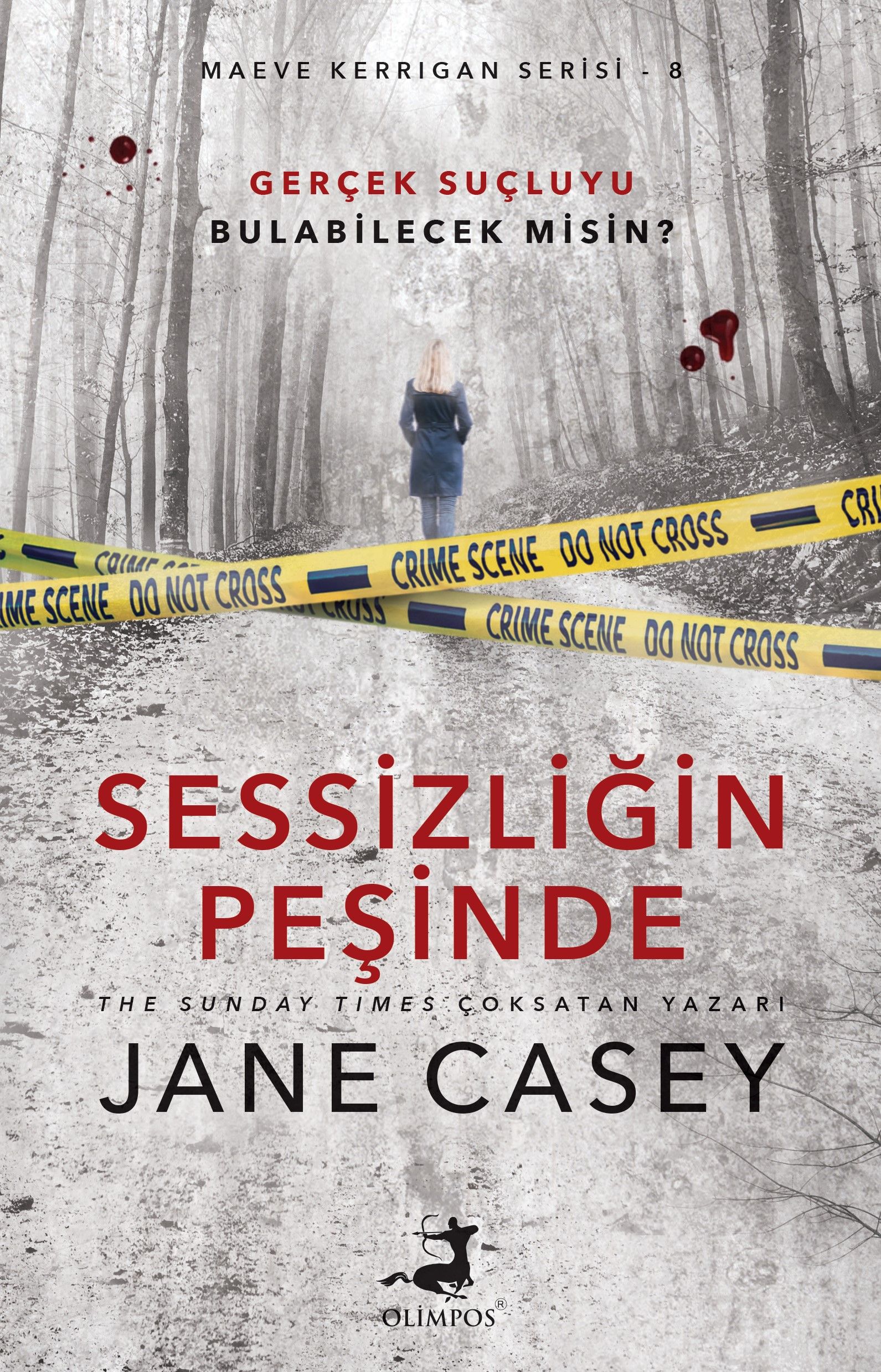 Sessizliğin Peşinde (Jane Casey) Fiyatı, Yorumları, Satın Al