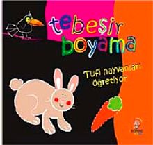 Tebeşirle Boyama Tufi Hayvanları Öğretiyor