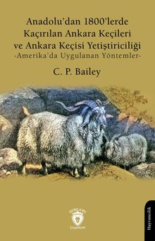 Anadolu'dan 1800'lerde Kaçırılan Ankara Keçileri ve Ankara Keçisi Yetiştiriciliği & Amerika'da Uygulanan Yöntemler