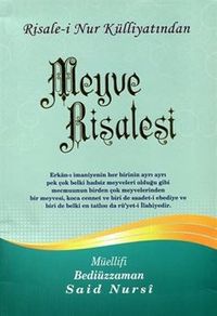 Meyve Risalesi, Risalei Nur Külliyatından (Büyük Boy-Kod:352)