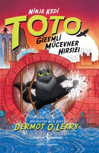 Ninja Kedi Toto & Gizemli Mücevher Hırsızı