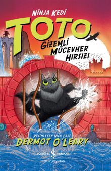 Ninja Kedi Toto & Gizemli Mücevher Hırsızı