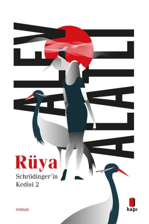 Rüya / Schrödinger'in Kedisi 2