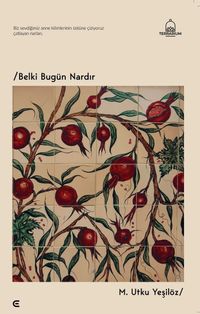 Belki Bugün Nardır