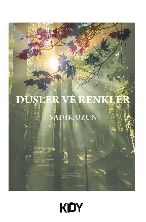 Düşler ve Renkler