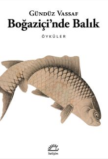 Boğaziçi'nde Balık