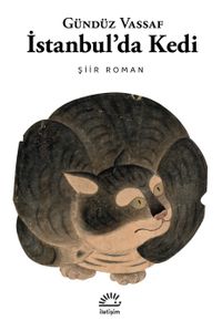 İstanbul'da Kedi