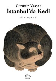 İstanbul'da Kedi