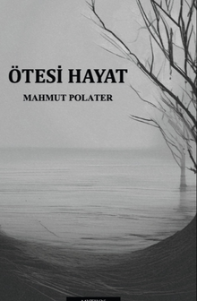 Ötesi Hayat