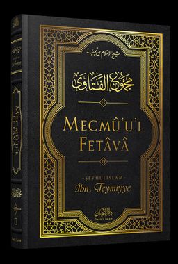 Mecmû'u'l-Fetava  (19. Cilt)