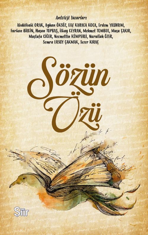 Sözün Özü
