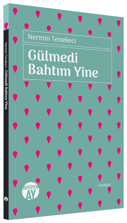 Gülmedi Bahtım Yine