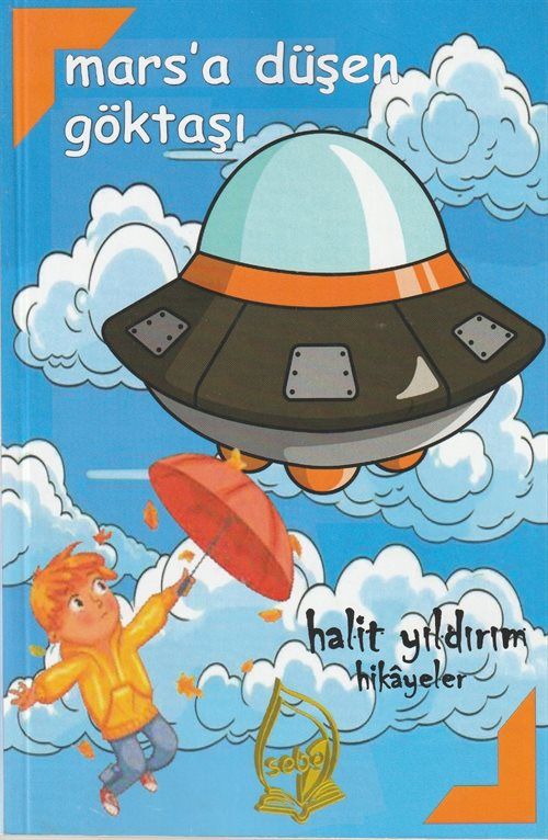 Mars'a Düşen Göktaşı 