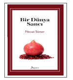 Bir Dünya Sancı