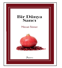 Bir Dünya Sancı