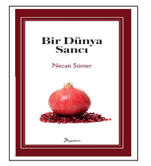 Bir Dünya Sancı