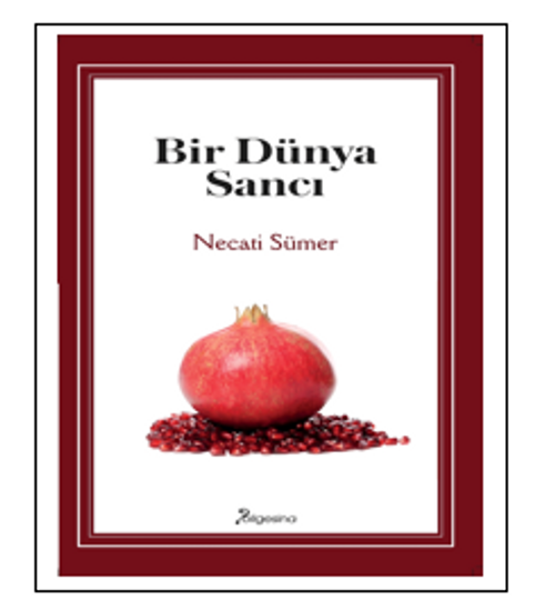 Bir Dünya Sancı