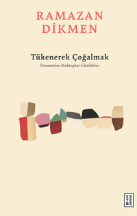 Tükenerek Çoğalmak / Denemeler, Mektuplar, Günlükler