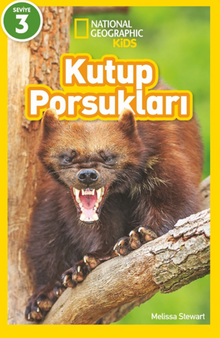 National Geographic Kids – Kutup Porsukları