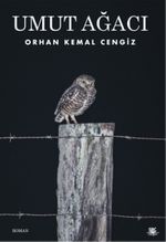 Umut Ağacı