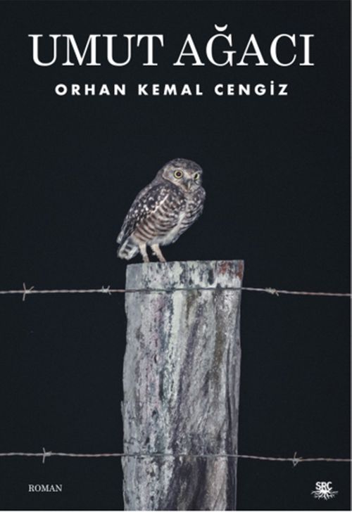 Umut Ağacı