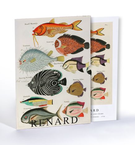 Surreal illustration of fishes and crabs found in Moluccas, Louis Renard, Özel Tasarım Kılıflı A4 Poster