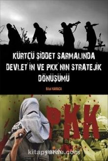 Kürtçü Şiddet Sarmalında Devlet'in ve PKK'nın Stratejik Dönüşümü