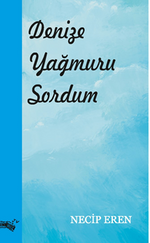 Denize Yağmuru Sordum