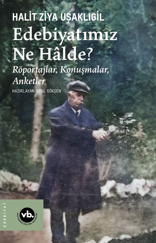 Edebiyatımız Ne Halde? & Röportajlar, Konuşmalar, Anketler 