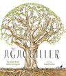 Ağaçgiller
