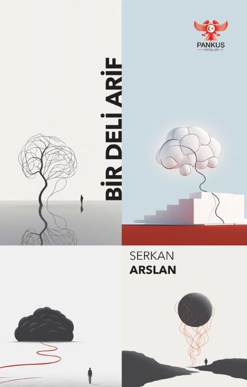 Bir Deli Arif