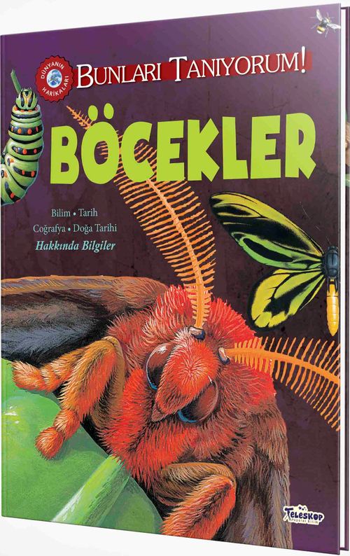 Böcekler / Bunları Tanıyorum